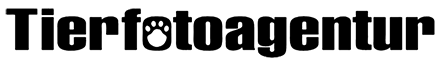 Tierfotoagentur